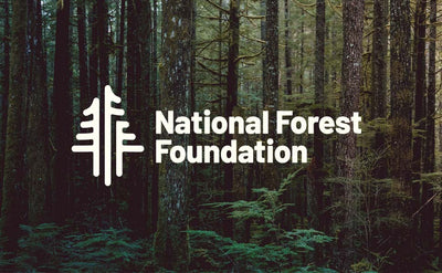 Commitment To Community