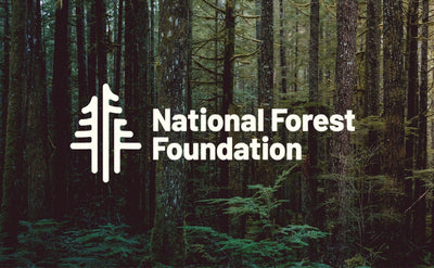 Commitment to Community