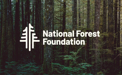 Commitment to Community